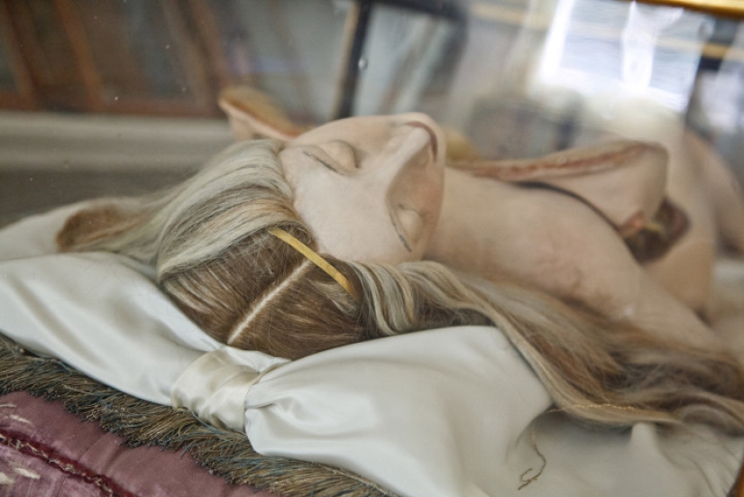 Venus anatómica, en la que estudiaron los patólogos del siglo XVIII Venus anatómica, en la que estudiaron los patólogos del siglo XVIII