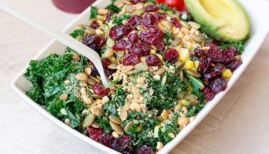 Verduras, leche cruda y otros productos que no valen la pena el riesgo de envenenamiento