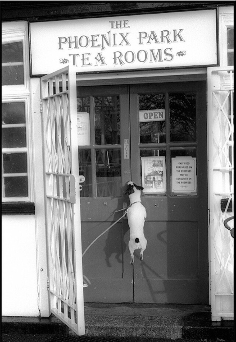 &quot;Visual Diary&quot; by Street Photographer David Gibson