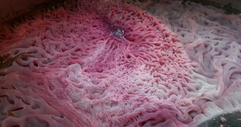 "VKontakte" hay una comunidad de estetas, los conocedores de molde "VKontakte" hay una comunidad de estetas, los conocedores de molde