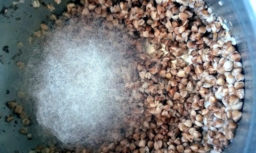 "VKontakte" hay una comunidad de estetas, los conocedores de molde "VKontakte" hay una comunidad de estetas, los conocedores de molde