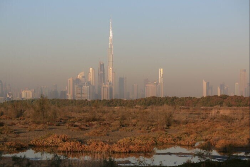 "Vodka, oso, tosca": en Reddit, llaman a su país con pistas "Vodka, oso, tosca": en Reddit, llaman a su país con pistas