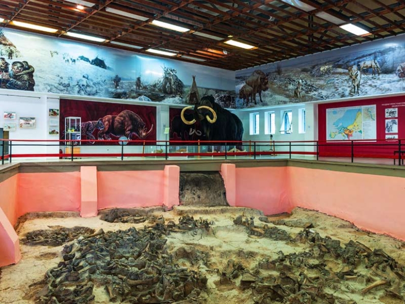 Voronezh village Kostenki: the birthplace of the first Europeans Voronezh village Kostenki: the birthplace of the first Europeans