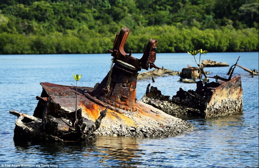 War Machines of the Second World War, lost on distant islands in the Pacific Ocean