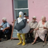 "We shoot to make people ask questions": a selection of photos desperately demanding explanations