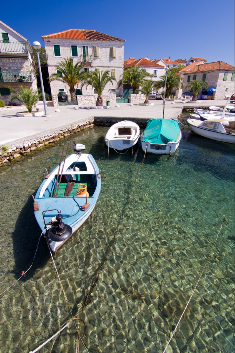 Weightlessness on the water Weightlessness on the water