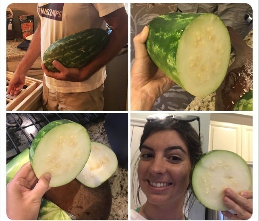 Well, what a whopper! 35 giants of our world Well, what a whopper! 35 giants of our world