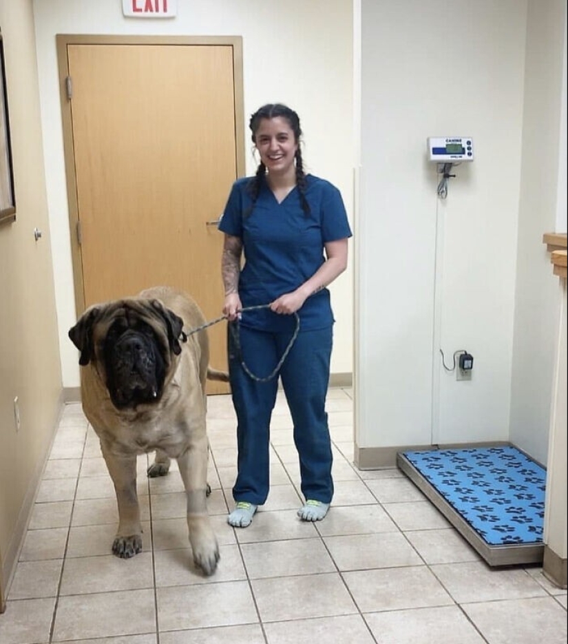 Well, what a whopper! 35 giants of our world Well, what a whopper! 35 giants of our world