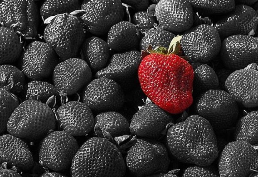 What are anti-vitamins and why you don't need Vitamin complexes What are anti-vitamins and why you don't need Vitamin complexes