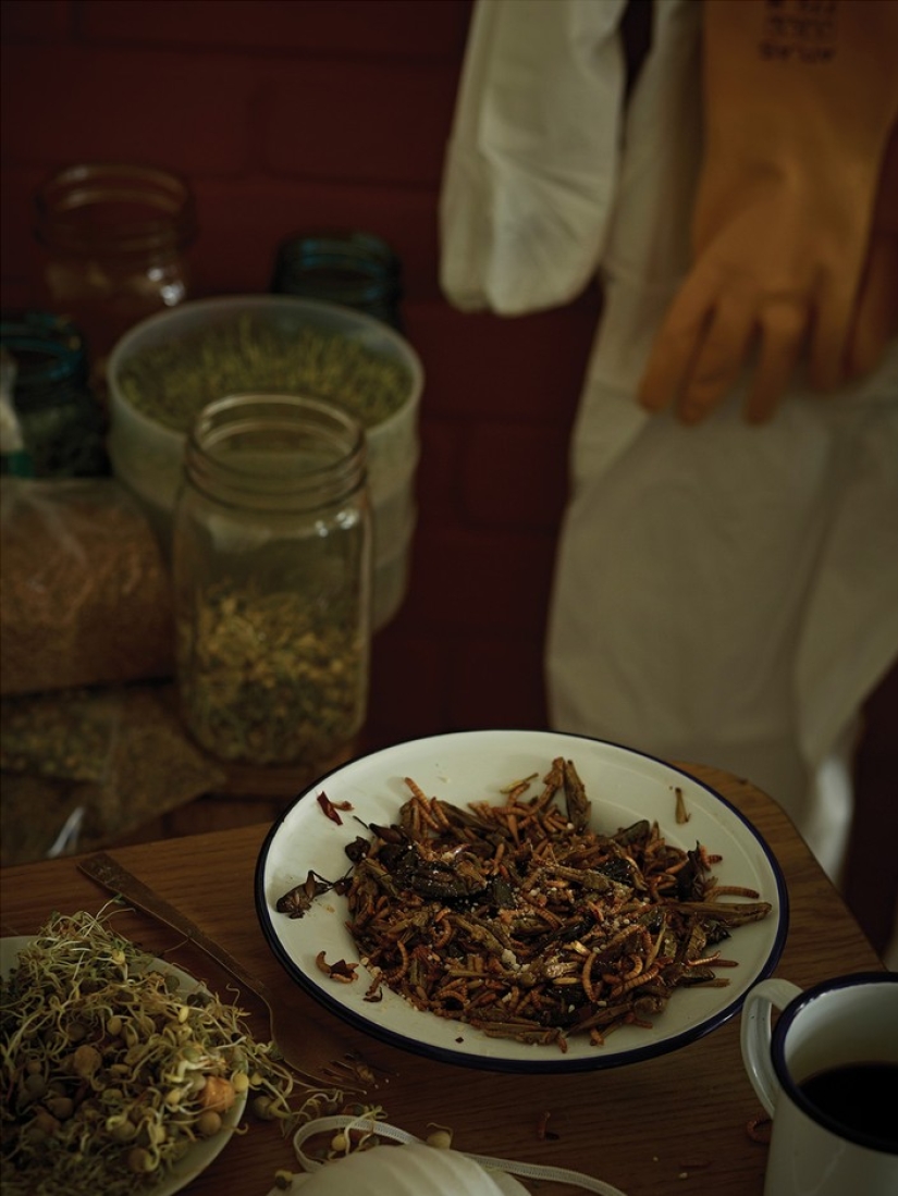 What are the Americans who survived Armageddon going to eat What are the Americans who survived Armageddon going to eat