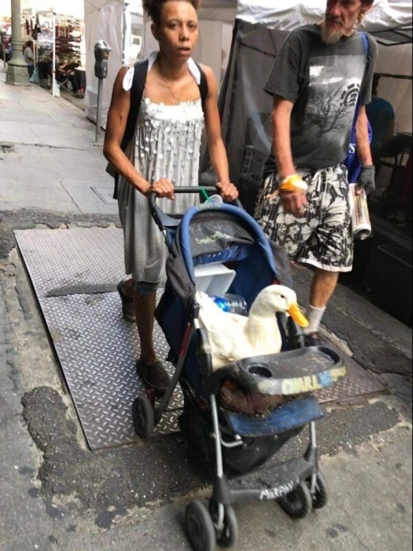 What are you doing here?" 22 strange photos that will puzzle anyone