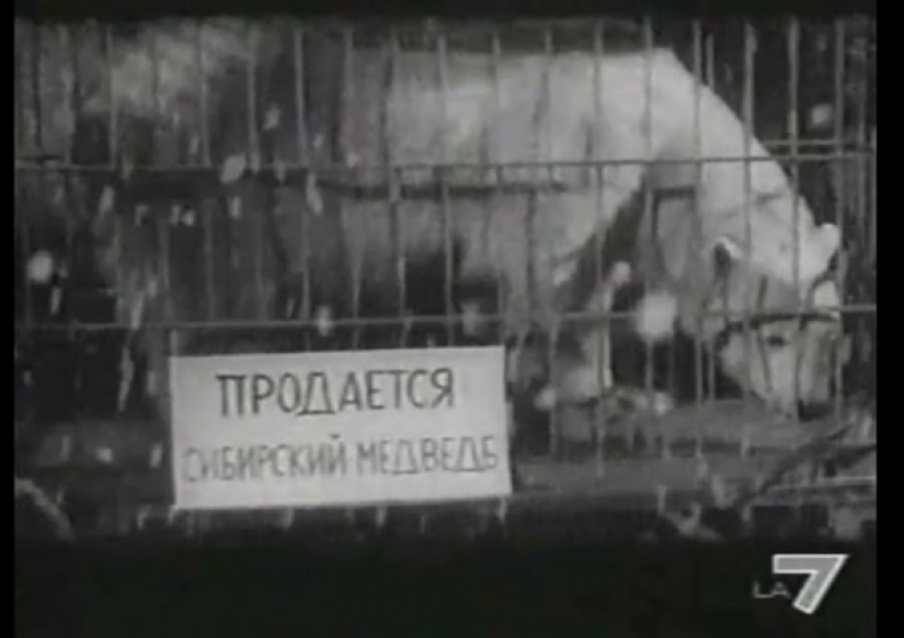 What are your proofs: oh, this Russian language in Western films What are your proofs: oh, this Russian language in Western films