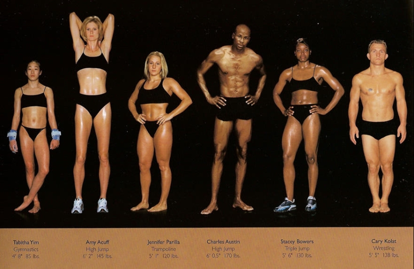 What do athletes' bodies look like in different sports? What do athletes' bodies look like in different sports?