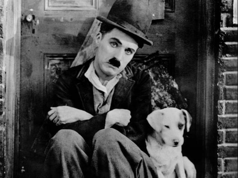 What do the grandchildren of Elvis Presley, Charlie Chaplin, Audrey Hepburn and other stars look like What do the grandchildren of Elvis Presley, Charlie Chaplin, Audrey Hepburn and other stars look like