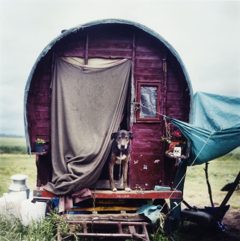 What do the gypsies of the XXI century look like What do the gypsies of the XXI century look like