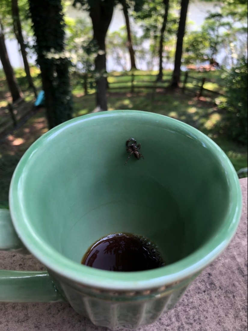 What do you know about failures? 22 photos from real "lucky people" What do you know about failures? 22 photos from real "lucky people"