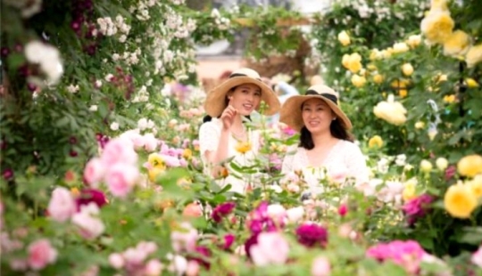 What does the rarest and most expensive flower in the world look like