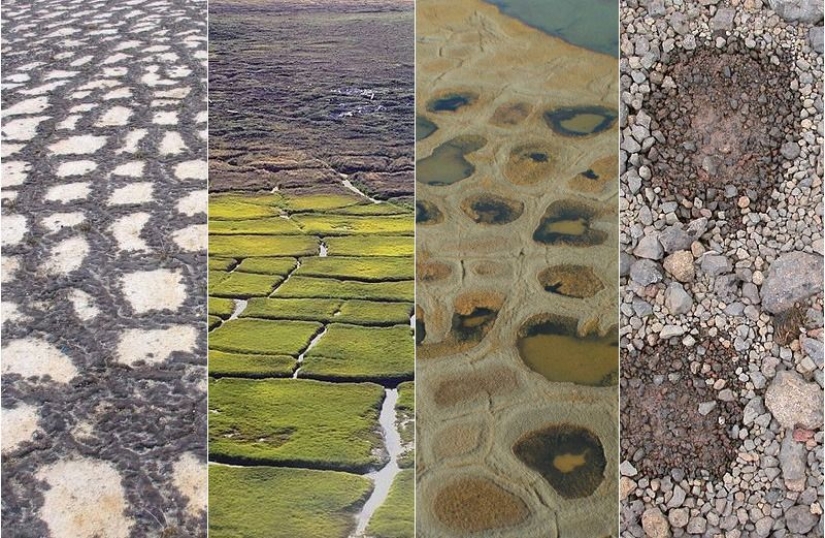 What happens to the soil when it freezes, then thaws What happens to the soil when it freezes, then thaws