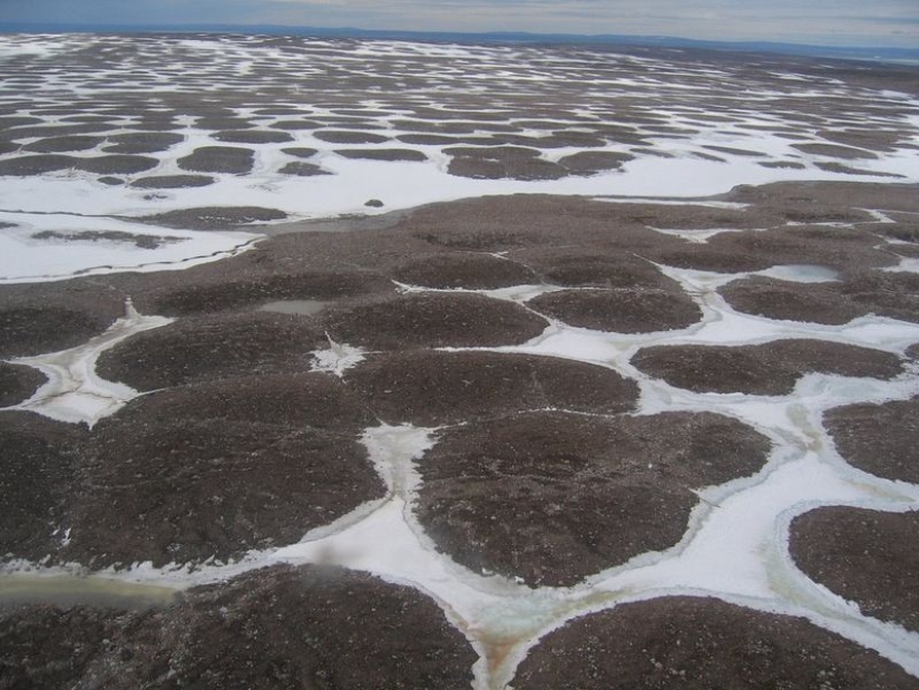 What happens to the soil when it freezes, then thaws What happens to the soil when it freezes, then thaws