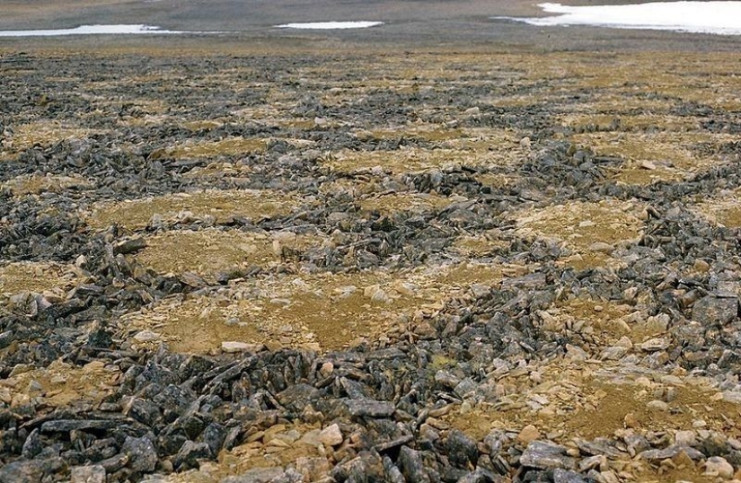 What happens to the soil when it freezes, then thaws What happens to the soil when it freezes, then thaws