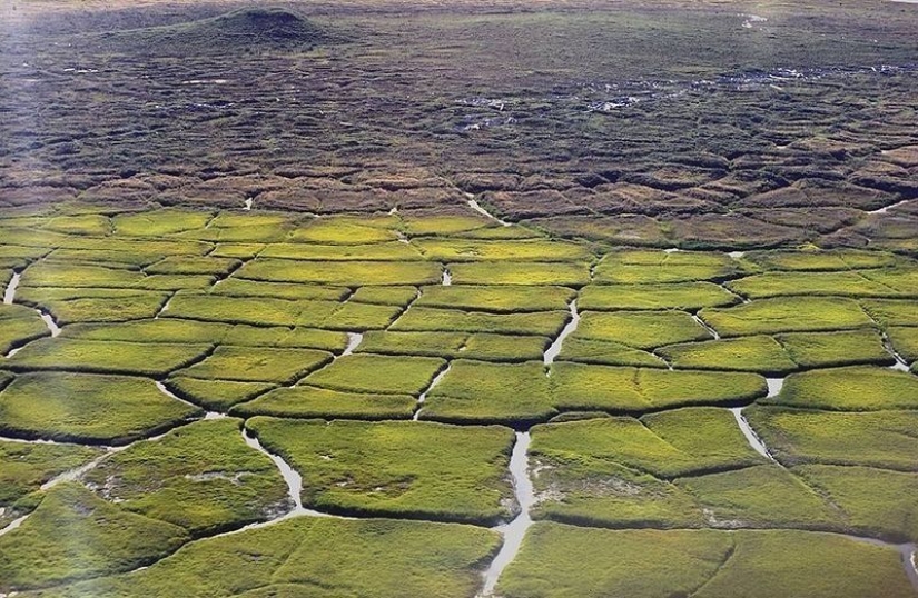 What happens to the soil when it freezes, then thaws What happens to the soil when it freezes, then thaws