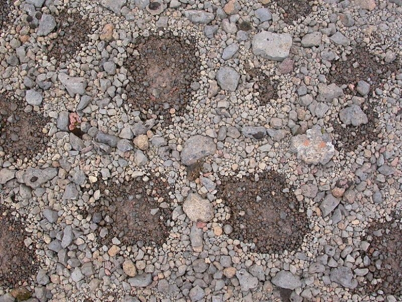 What happens to the soil when it freezes, then thaws What happens to the soil when it freezes, then thaws