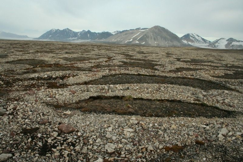 What happens to the soil when it freezes, then thaws What happens to the soil when it freezes, then thaws