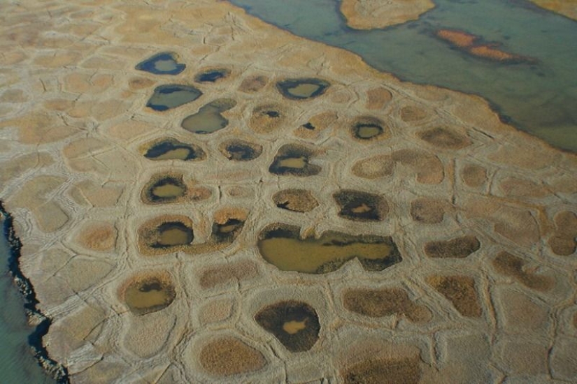 What happens to the soil when it freezes, then thaws What happens to the soil when it freezes, then thaws