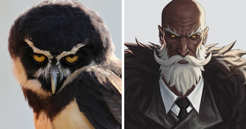 What if birds and animals suddenly became people? Let's take a look What if birds and animals suddenly became people? Let's take a look