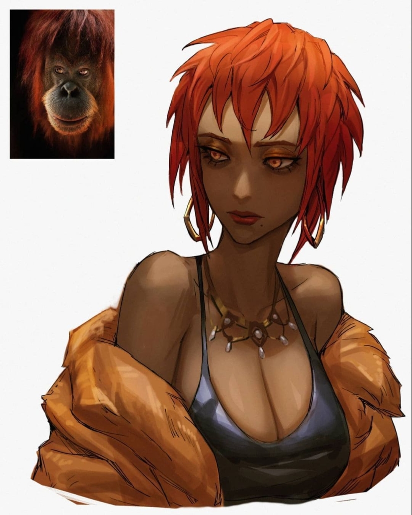 What if birds and animals suddenly became people? Let's take a look What if birds and animals suddenly became people? Let's take a look