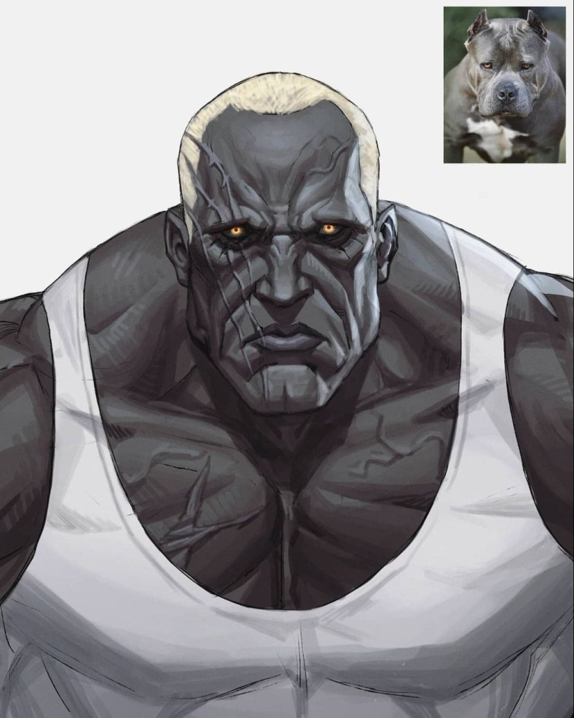 What if birds and animals suddenly became people? Let's take a look What if birds and animals suddenly became people? Let's take a look