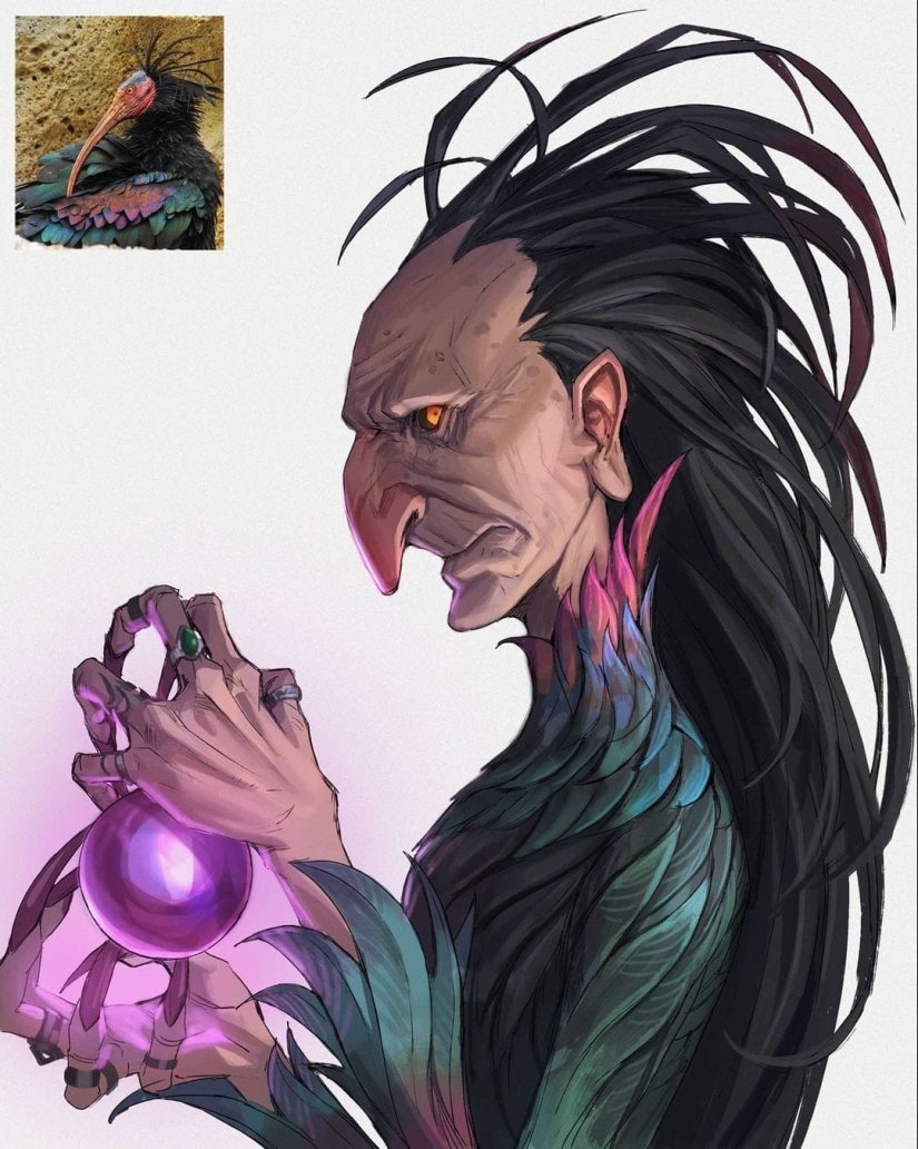 What if birds and animals suddenly became people? Let's take a look What if birds and animals suddenly became people? Let's take a look