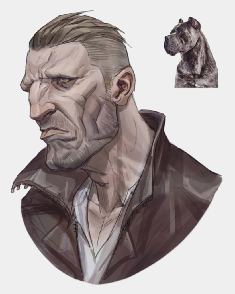 What if birds and animals suddenly became people? Let's take a look What if birds and animals suddenly became people? Let's take a look