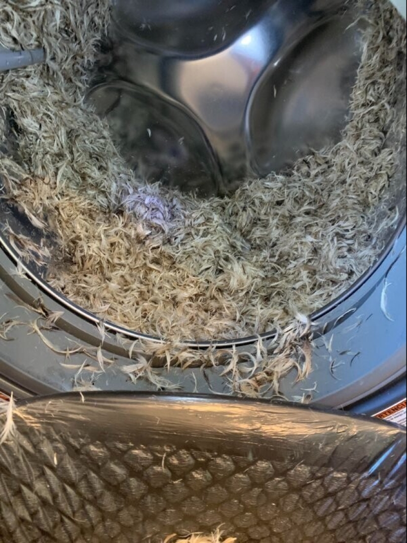 What is a bad day? 22 cases when fate turned backwards What is a bad day? 22 cases when fate turned backwards