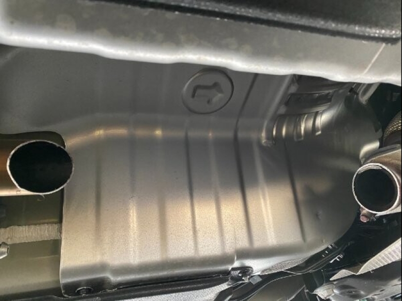 What is a bad day? 22 cases when fate turned backwards What is a bad day? 22 cases when fate turned backwards