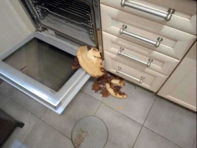 What is a bad day? 22 cases when fate turned backwards What is a bad day? 22 cases when fate turned backwards