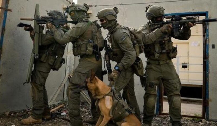 What is an "Oenothera" or How dogs serve in the Israeli army What is an "Oenothera" or How dogs serve in the Israeli army