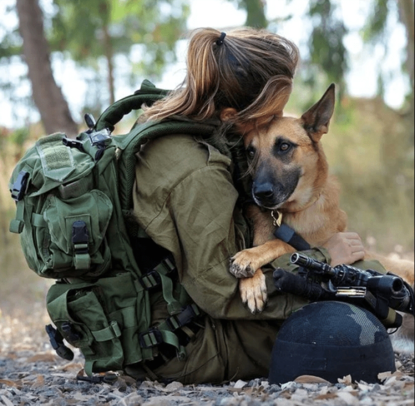 What is an "Oenothera" or How dogs serve in the Israeli army What is an "Oenothera" or How dogs serve in the Israeli army