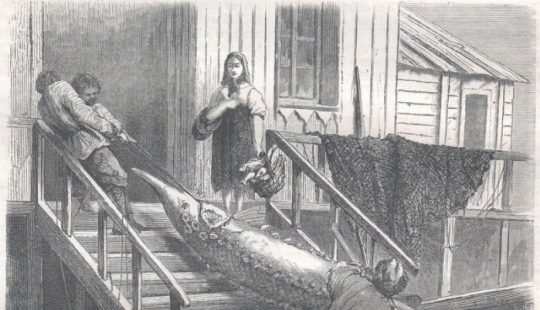 What is good for a Russian... Sketches of foreigners who visited Russia in the middle of the XIX century