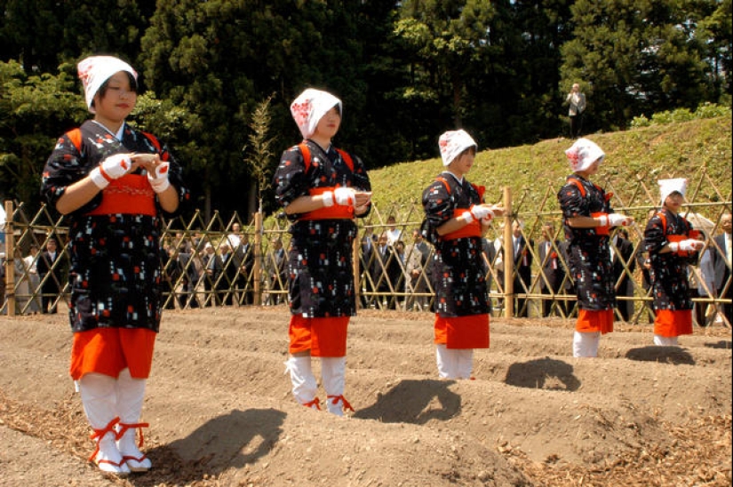 What is “karoshi”, or Why do Japanese people die at work?