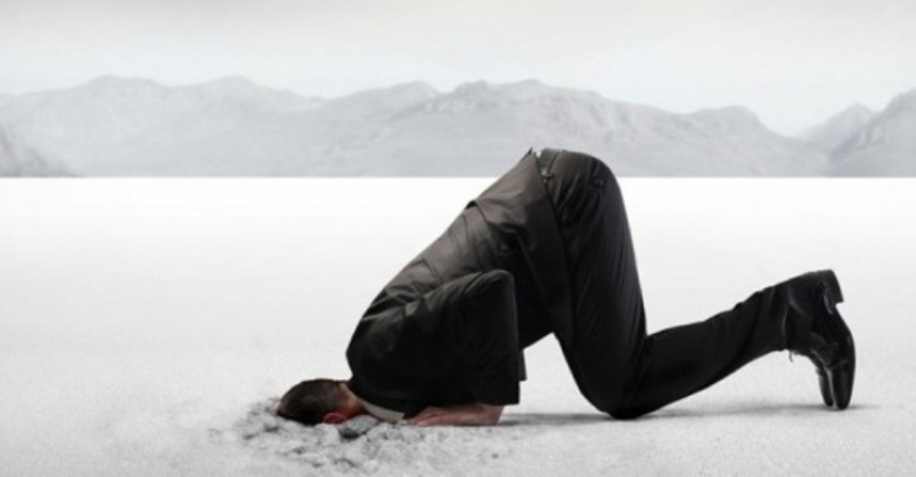 What is the bicycle shed effect and why do we hold on to the little things, missing the main thing