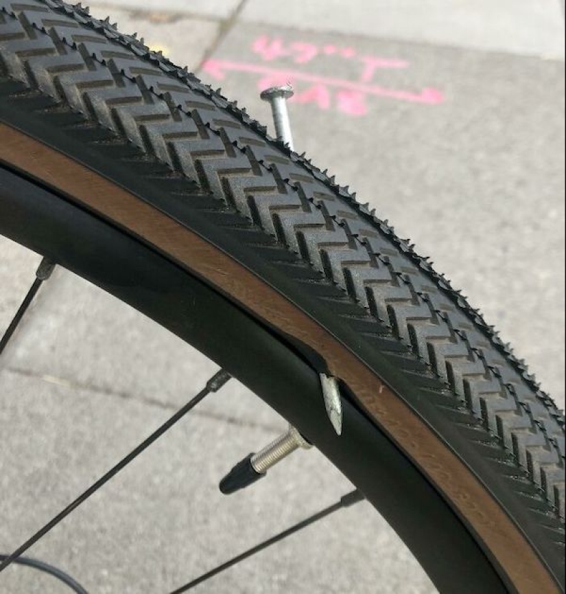 What is "unlucky": 22 photos of people who had a very difficult day What is "unlucky": 22 photos of people who had a very difficult day