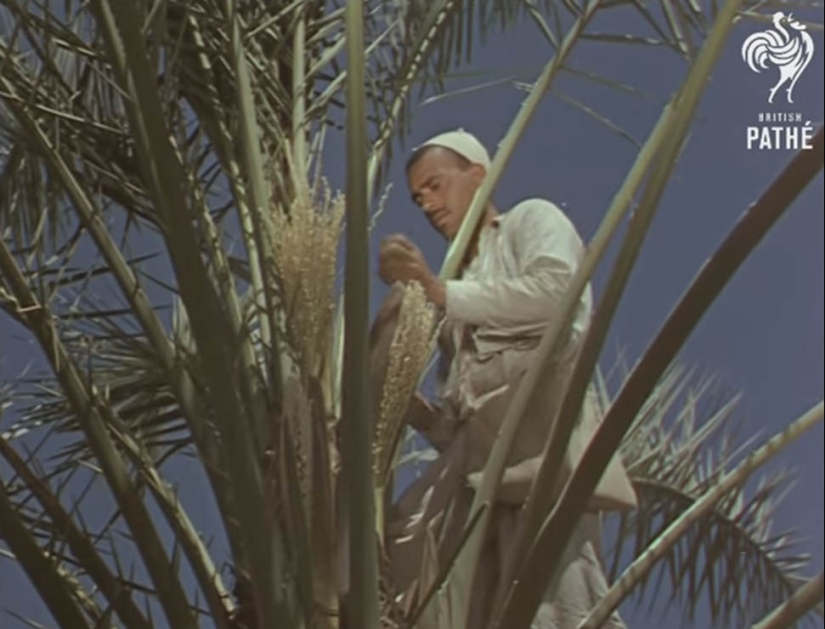 What was Iraq like before the war and sanctions What was Iraq like before the war and sanctions