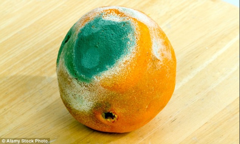 What we eat: a British woman has kept sweets for 20 years, and they at least have henna