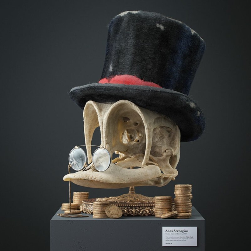 What would the skulls cartoon characters? What would the skulls cartoon characters?