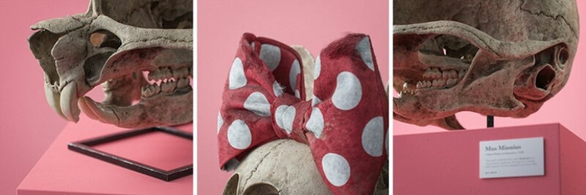 What would the skulls cartoon characters? What would the skulls cartoon characters?