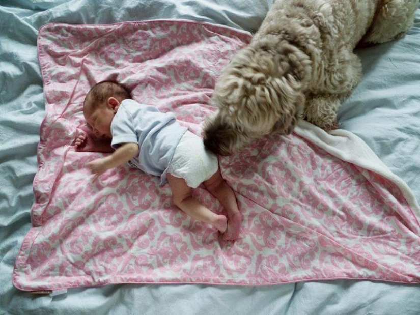 "When Lulu was born, my wife Carla disappeared": how fatherly feelings develop "When Lulu was born, my wife Carla disappeared": how fatherly feelings develop