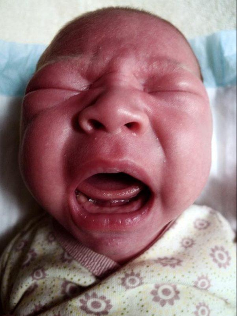 "When Lulu was born, my wife Carla disappeared": how fatherly feelings develop "When Lulu was born, my wife Carla disappeared": how fatherly feelings develop