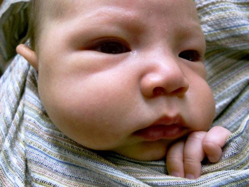 "When Lulu was born, my wife Carla disappeared": how fatherly feelings develop "When Lulu was born, my wife Carla disappeared": how fatherly feelings develop