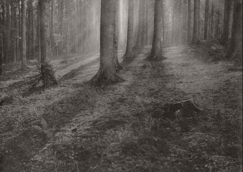 When photos looked like paintings: 27 frames from Leonard Misonne